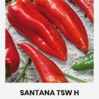 Terav paprika ‘SANTANA TSW H’ 10s