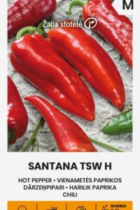 Terav paprika ‘SANTANA TSW H’ 10s