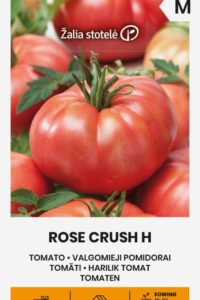 Tomat ‘ROSE CRUSH H’ 7s