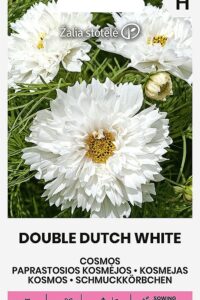 Kosmos ‘DOUBLE DUTCH WHITE’ 1g