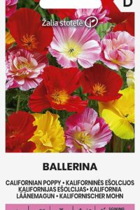 Kalifornia läänemagun ‘BALLERINA’ 1g