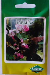 Lobauba VIOLET, 7s