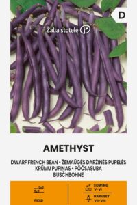 Harilik aeduba ‘AMETHYST* 15g