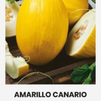 Melon ‘AMARILLO CANARIO’ 1g