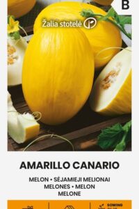 Melon ‘AMARILLO CANARIO’ 1g