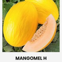 Melon  ‘MANGOMEL H’ 5s