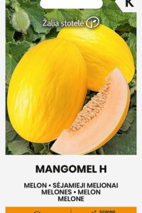 Melon  ‘MANGOMEL H’ 5s