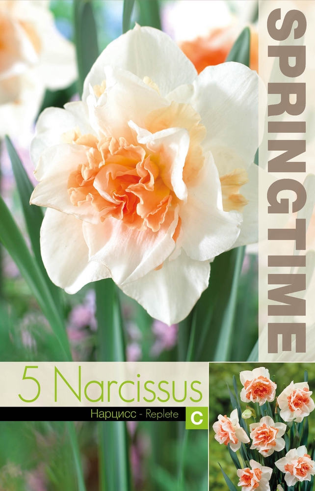 Narcissus-Replete