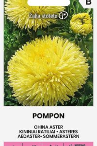 Aedaster ‘POMPON kollane’ 0,5g