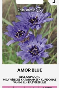 Sinine sahinlill  ‘AMOR BLUE’ 0,5g