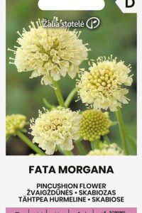 Hurmeline tähtpea ‘FATA MORGANA’ 150s