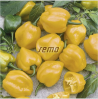 habanero-lemon-2