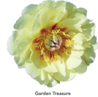 Garden-Treasure-1