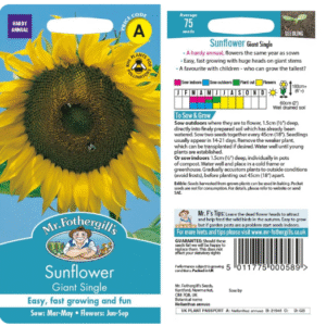 000589-paeevalill-giant-single