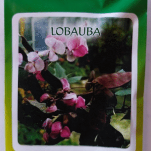 lobauba