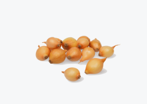 stuttagrter-riesen-8