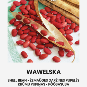 Aeduba / Põõsasuba 'WAWELSKA' 15g