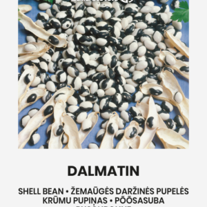 Aeduba / Põõsasuba 'DALMATIN' 10g