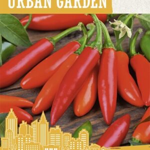 Terav paprika 'BIRDS EYE' 0,1g Urban Garden