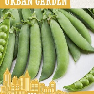 Aedhernes 'AVOLA' 8g Urban Garden