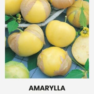 Mehhiko füüsal /Tomatillo 'AMARYLLA ®'  0,2g