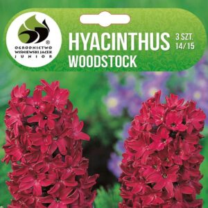 Hüatsint 'WOODSTOCK'  3tk 14/15