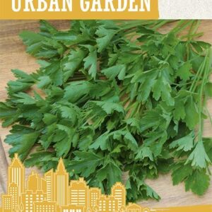 Aedpetersell 'FEST'  2g Urban Garden